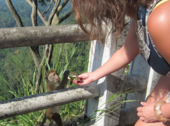 Турфирмы из Молдовы на грани краха