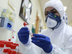 В четверг в Молдове выявлено 347 новых случаев COVID-19