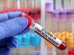 В пятницу число новых случаев COVID-19 в Молдове выросло до 571 за 24 часа